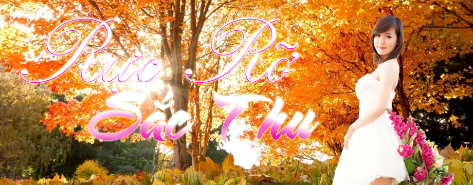 Rực Rỡ Sắc Thu 2016